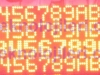 protokol_network_anadoluiplik_001