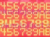 protokol_network_anadoluiplik_002