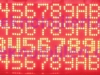 protokol_network_anadoluiplik_003